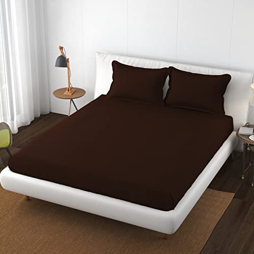Chocolate Brown