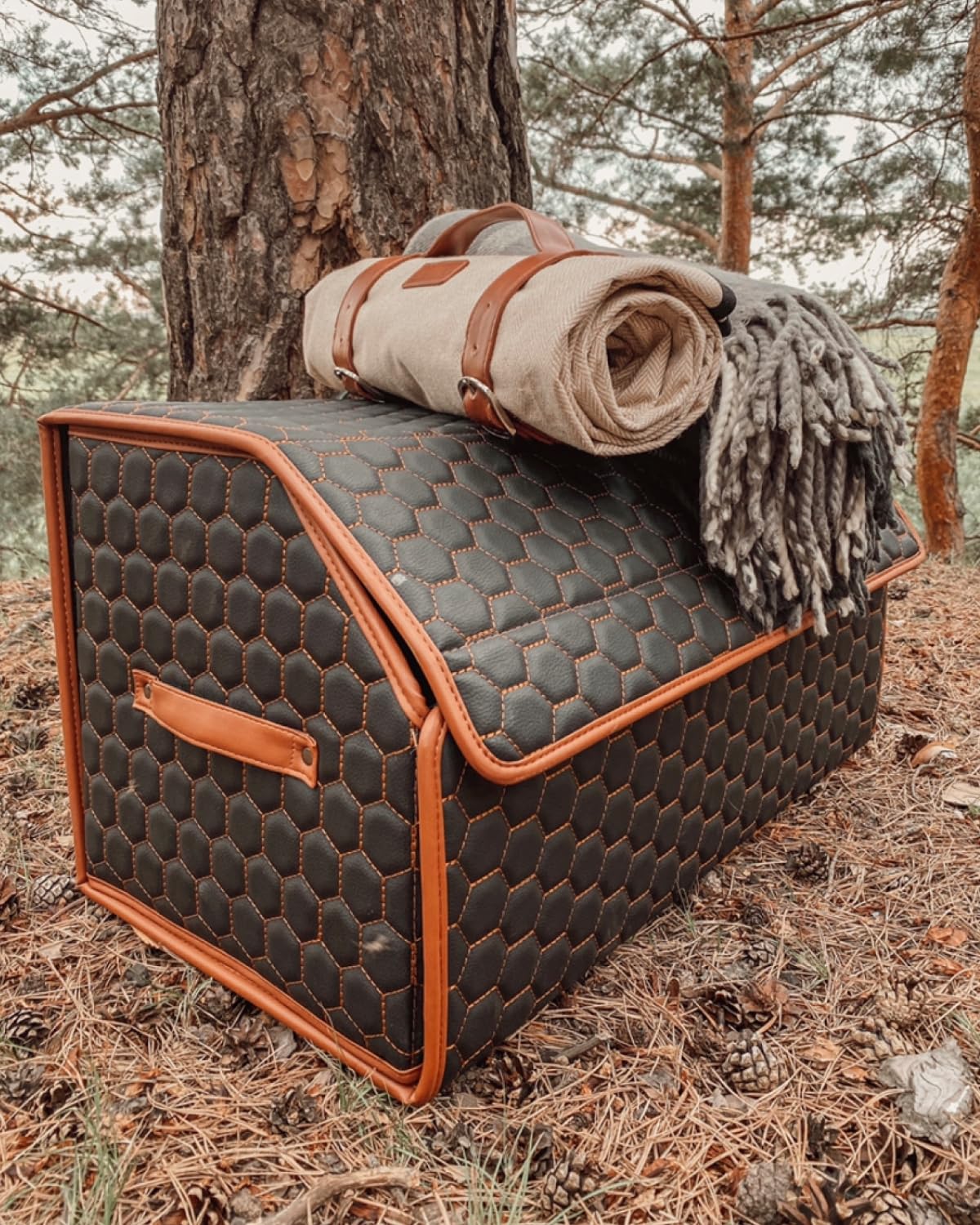 Foldable Trunk Organizer for Car Storage - Collapsible Auto Organizer with Lid - 21.6 Inch Hexy Design for SUV, Sedan & Minivan - Perfect for Groceries, Travel Gear & Sports Equipment Organization