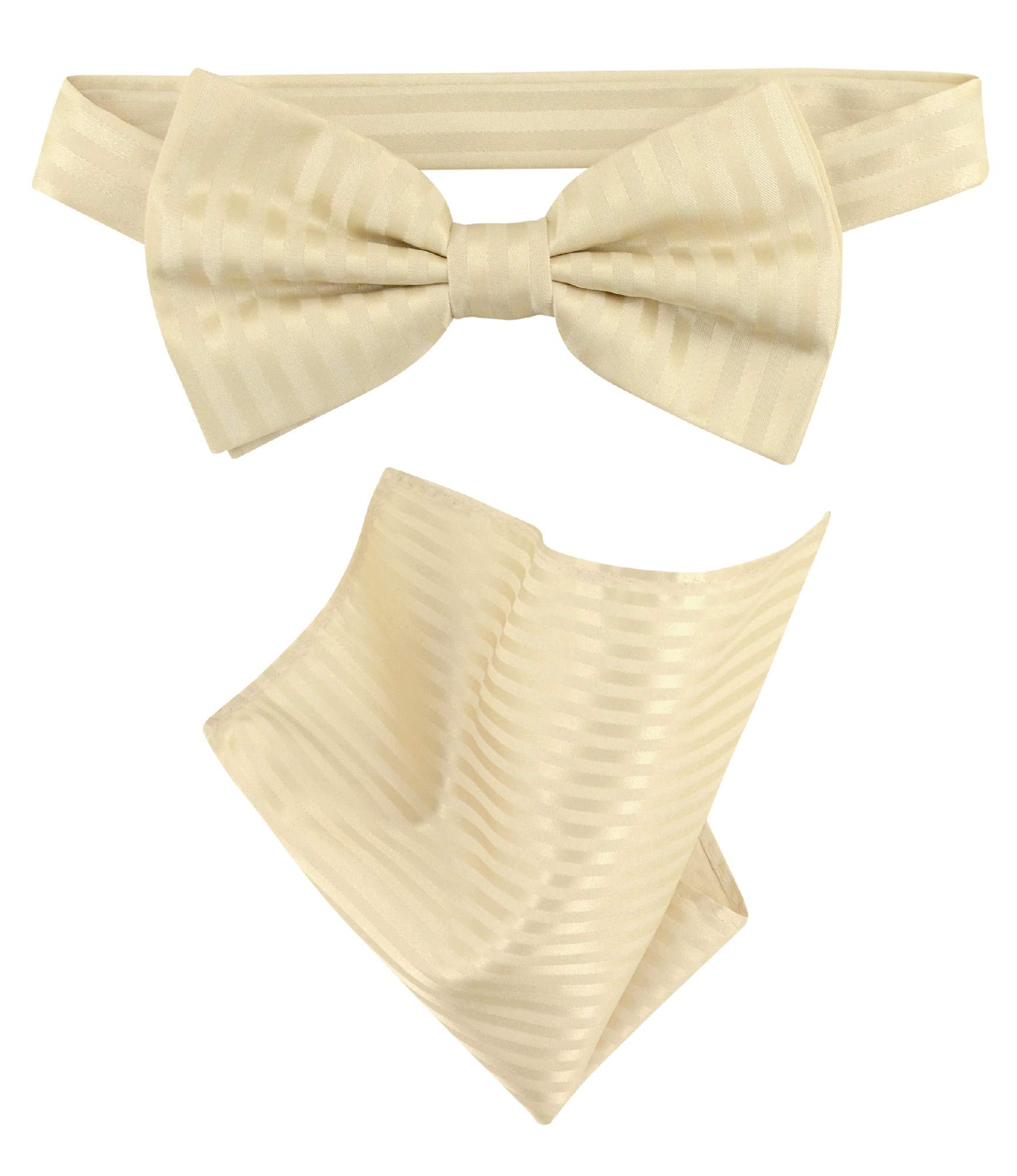 Vesuvio Napoli Bow Tie Set - Vertical Stripe Men's Bow Tie & Pocket Square Handkerchief for Formal Events & Weddings