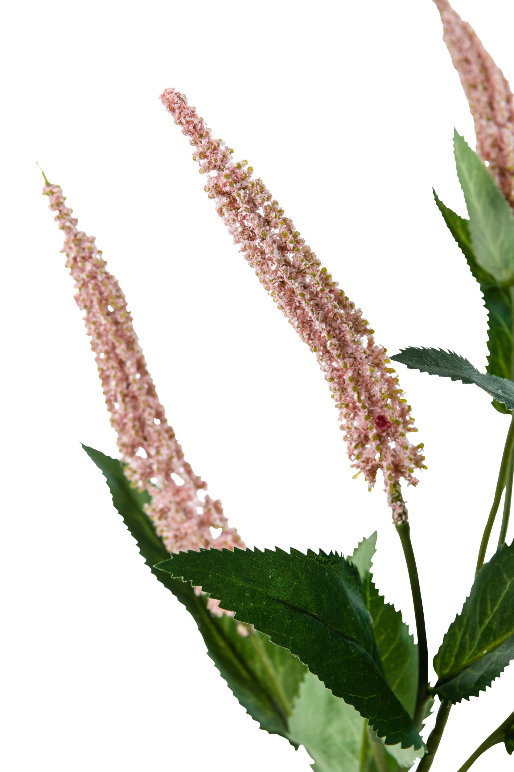 Acacia Cascara Flower Stem - Set of 7 Pink Artificial Stems 84cm for Home Decor, Wedding Centerpieces & Floral Arrangements