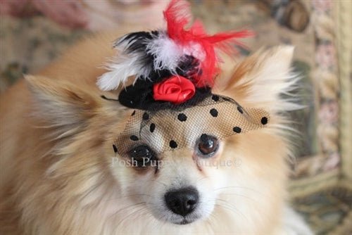 Elegant Black Couture Hat with Red/White Feathers & Red Flower - Perfect for Weddings, Parties & Special Occasions