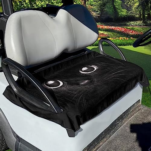 Black Cat