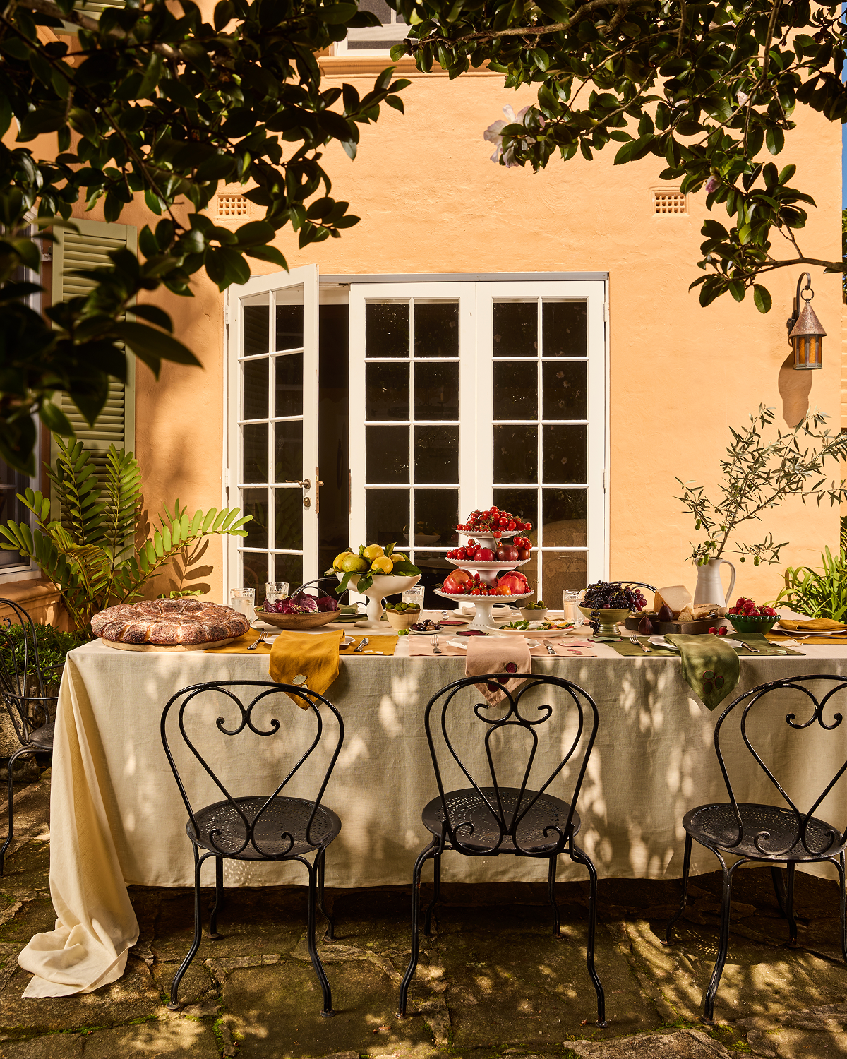 Premium Olive Fruit Placemats Set of 4 - Waterproof & Heat-Resistant Table Mats for Dining, Kitchen, and Outdoor Picnics