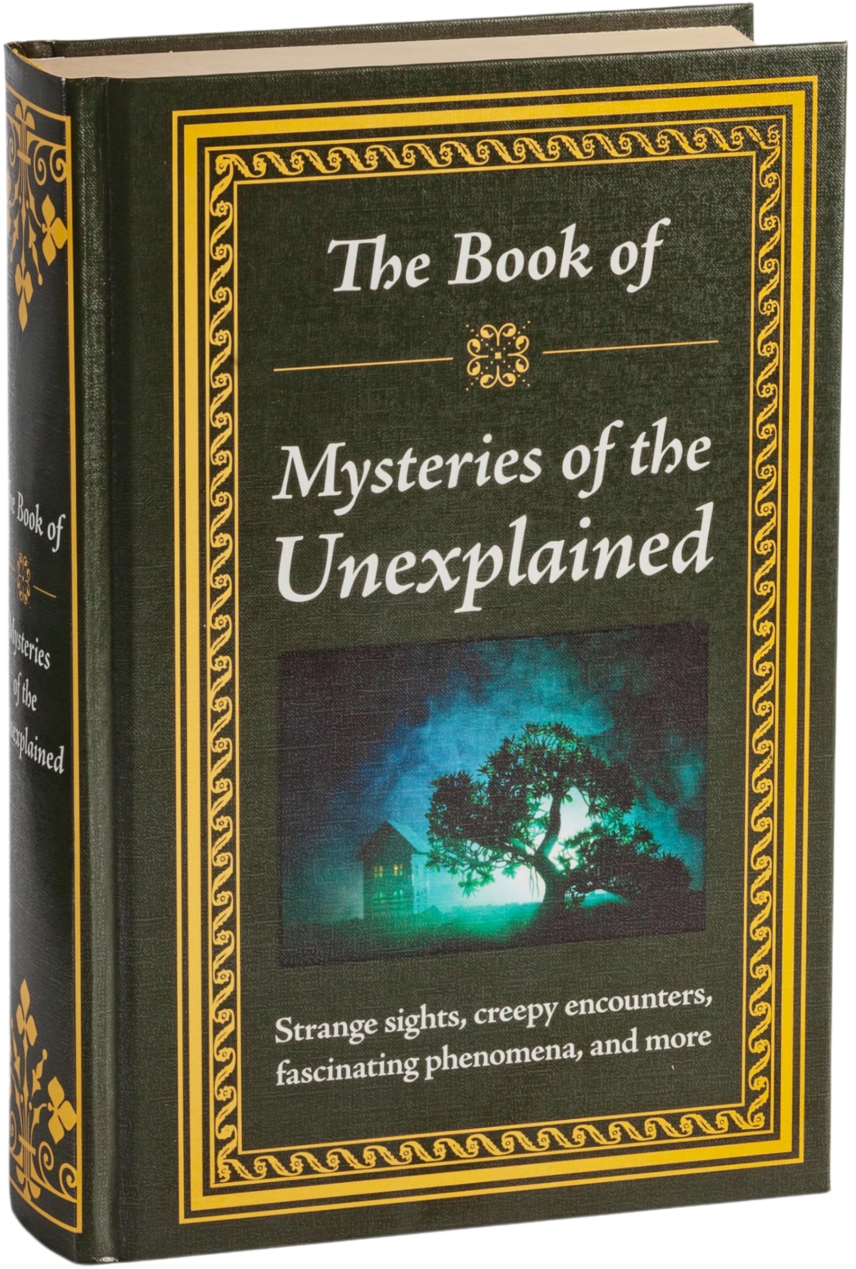 The Book of Mysteries of the Unexplained - Paranormal Investigations, Unsolved Mysteries & Supernatural Phenomena | Perfect for Mystery Enthusiasts, Researchers & Gift Ideas