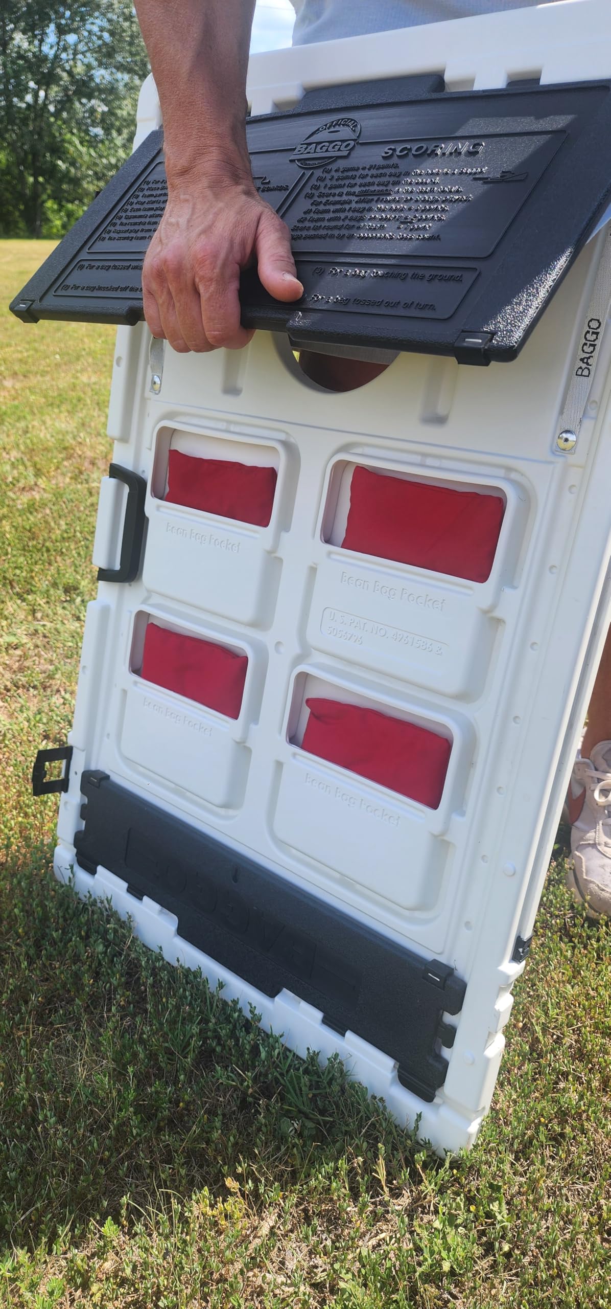 Baggo Margarita Time Parrot Bean Bag Toss Game - Outdoor Lawn Party Game for Adults & Kids - Perfect for Backyard BBQ, Tailgating, and Beach Parties