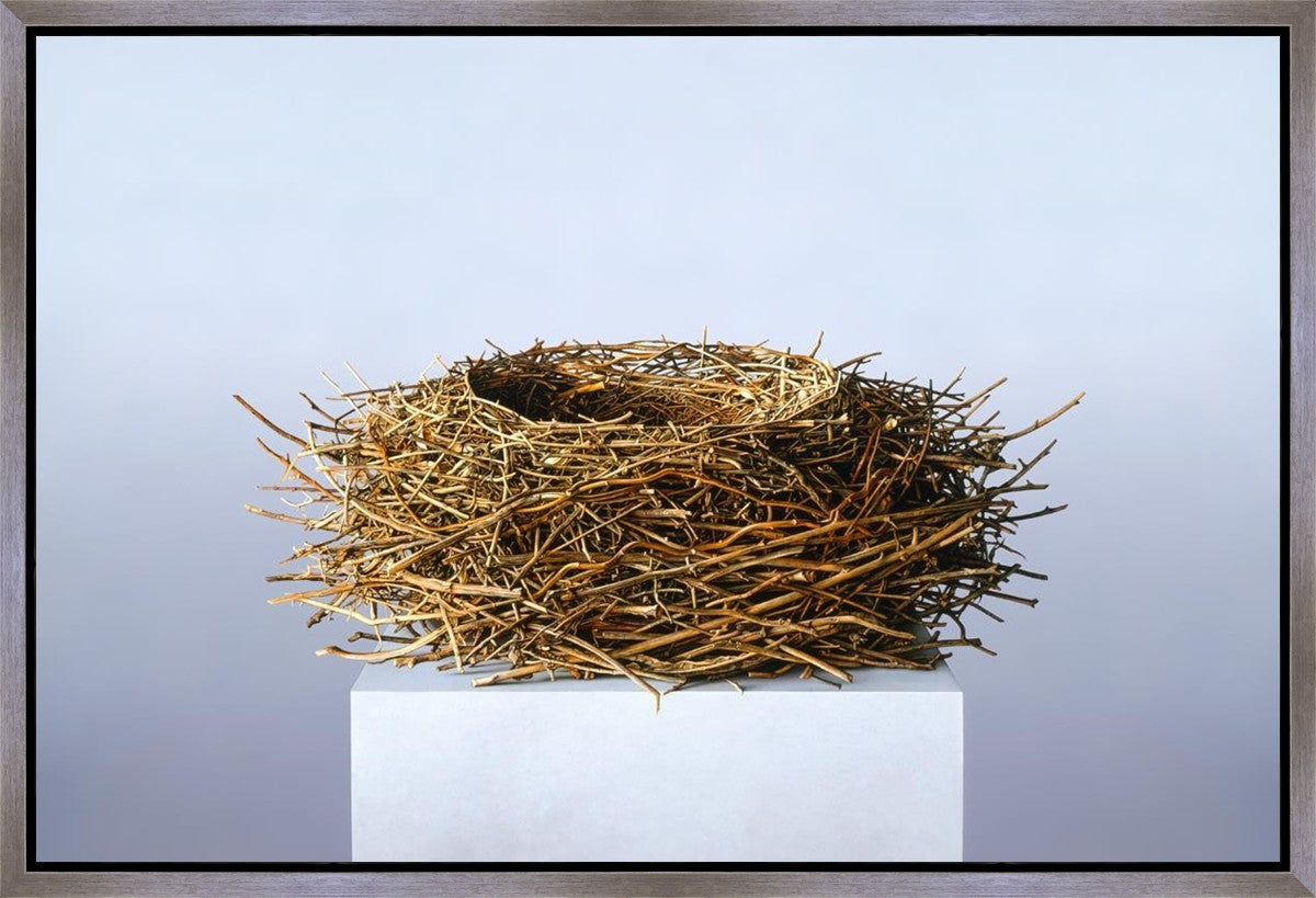 Nest Gallery Wrap Canvas - High-Quality Stretched Wall Art for Home & Office Decor - Perfect for Living Room, Bedroom, and Office Spaces