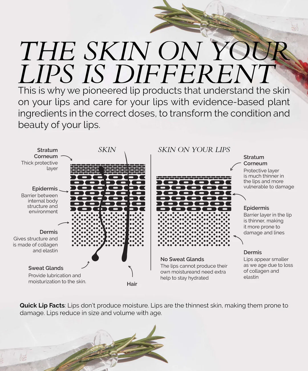 Best Lip Color Serum for Hydration & Long-Lasting Shine - Perfect for Daily Wear & Special Occasions
