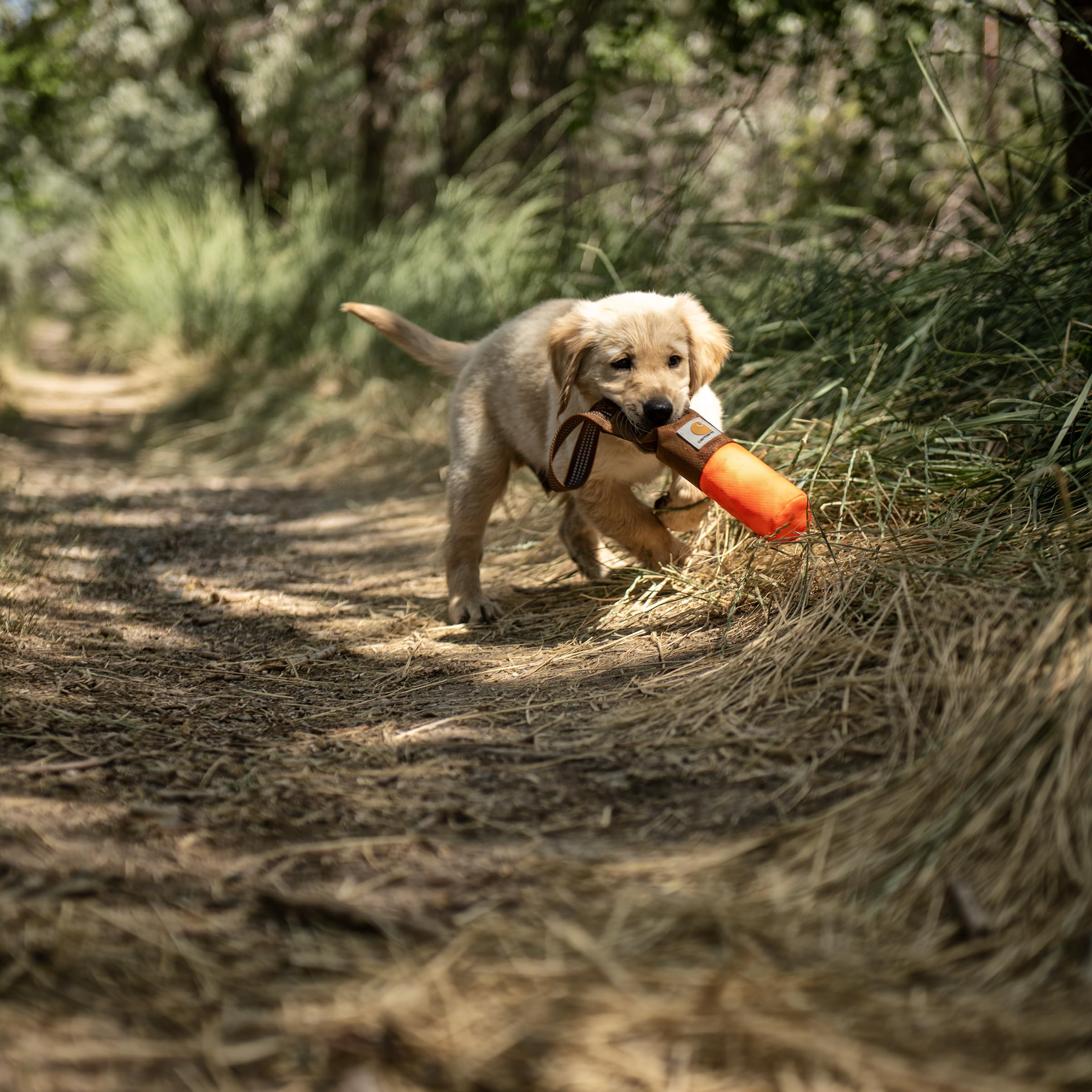 **Carhartt Dog Toys for Fetch & Chew Training – Durable Pet Chew Toys for Active Dogs – Perfect for Outdoor Play & Indoor Training**