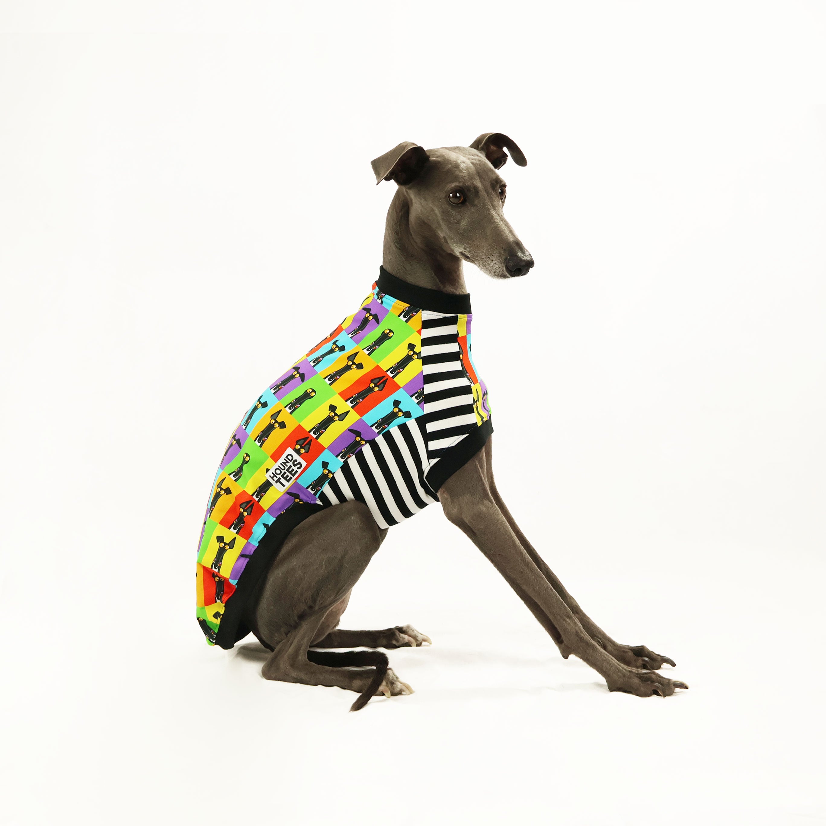 Semaphore Whippet Sleeveless Hound T-Shirt - Comfortable Dog Lover Apparel for Casual Wear & Outdoor Activities