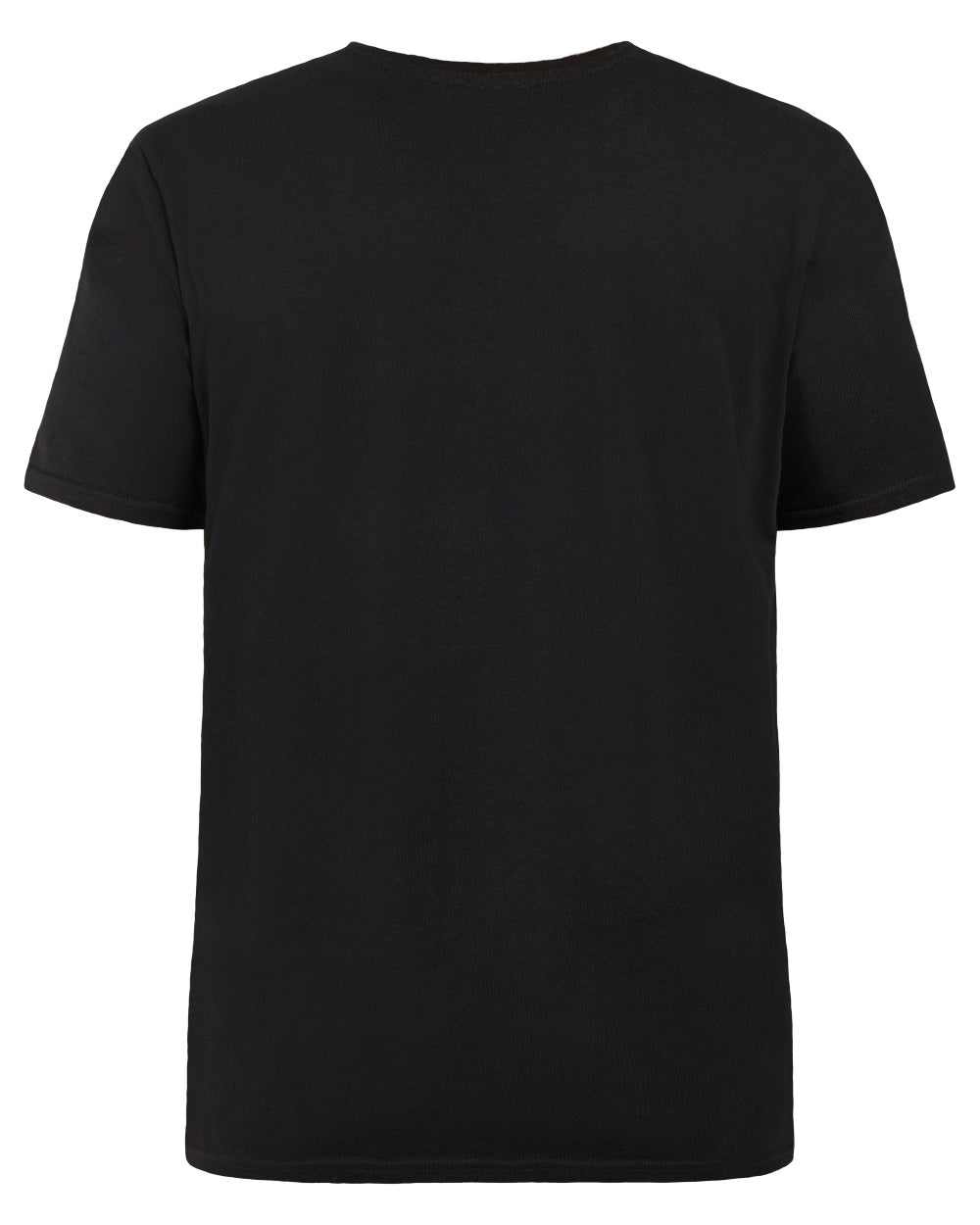 Didriksons Men's Harald Landscape T-Shirt - Comfortable Casual Short Sleeve Tee for Outdoor Adventures & Everyday Wear