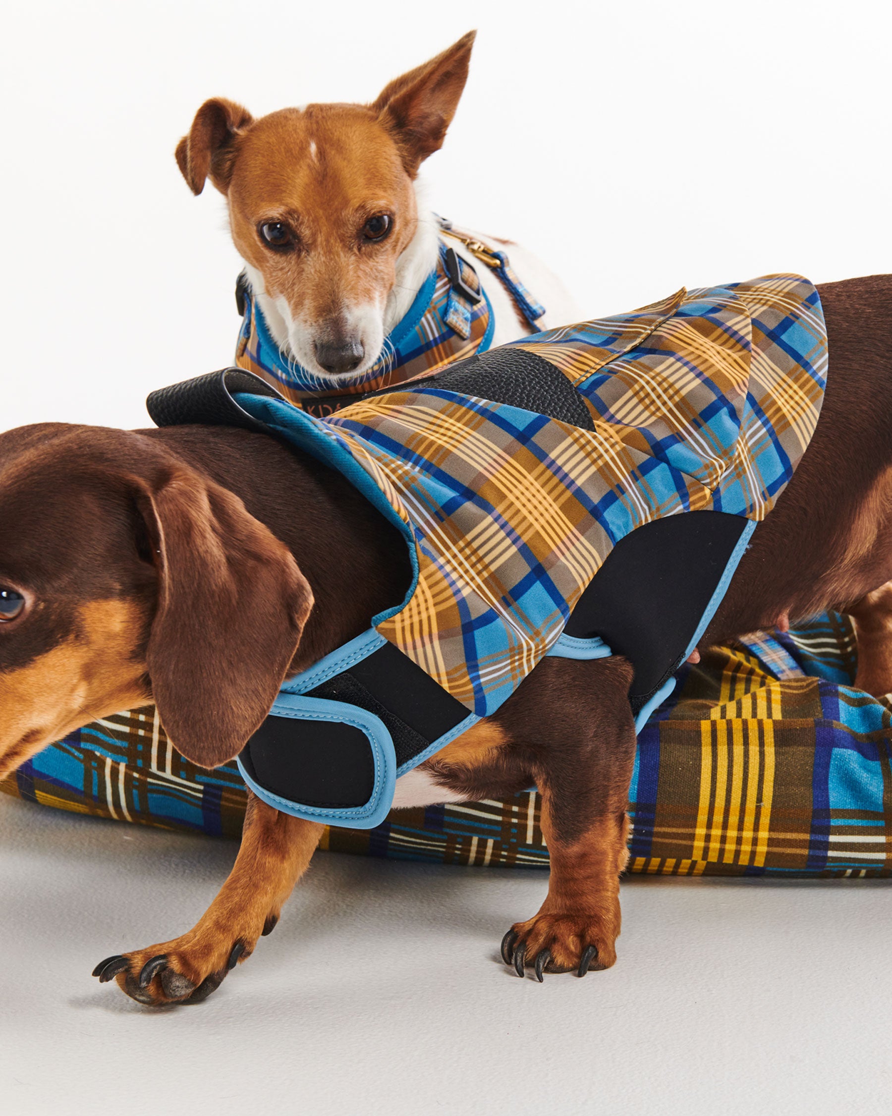 Cozy Tartan Dog Jacket - Warm Plaid Winter Coat for Small Medium Large Dogs - Perfect for Outdoor Walks & Cold Weather Adventures