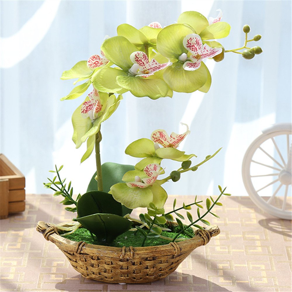 Premium Artificial Orchid Bonsai Tree with Ceramic Vase - Lifelike Fake Phalaenopsis Flowers for Home, Office, Indoor & Outdoor Decor - Low Maintenance Houseplant Alternative (Green, 1 Pack) - Perfect for Living Room Centerpiece, Wedding Decor, and Office Desk Decorations