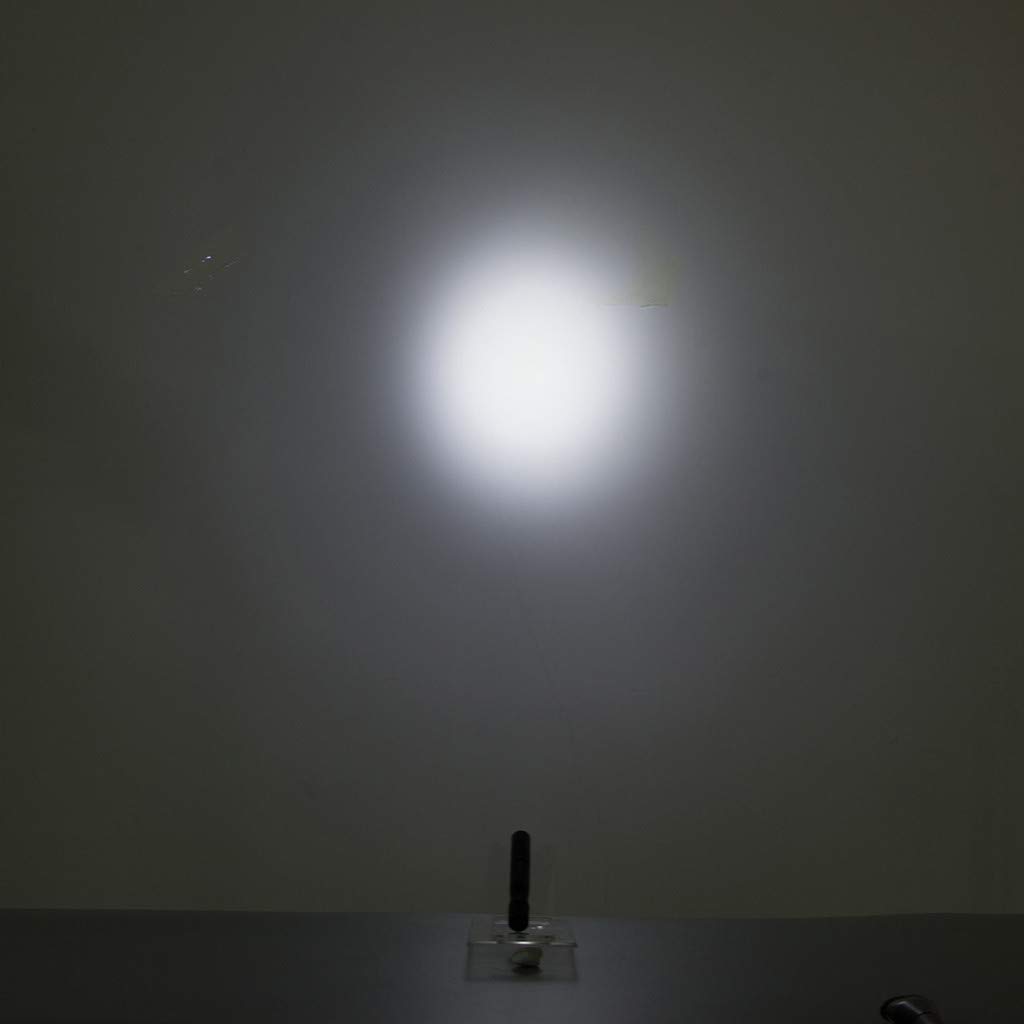 Mini LED Flashlight - Ultra Bright Pocket Penlight with Clip, Waterproof & Portable for AAA Batteries - Perfect for Camping, Hiking, Emergency & Everyday Carry (EDC)