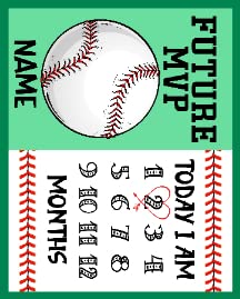 01 -Baseballball