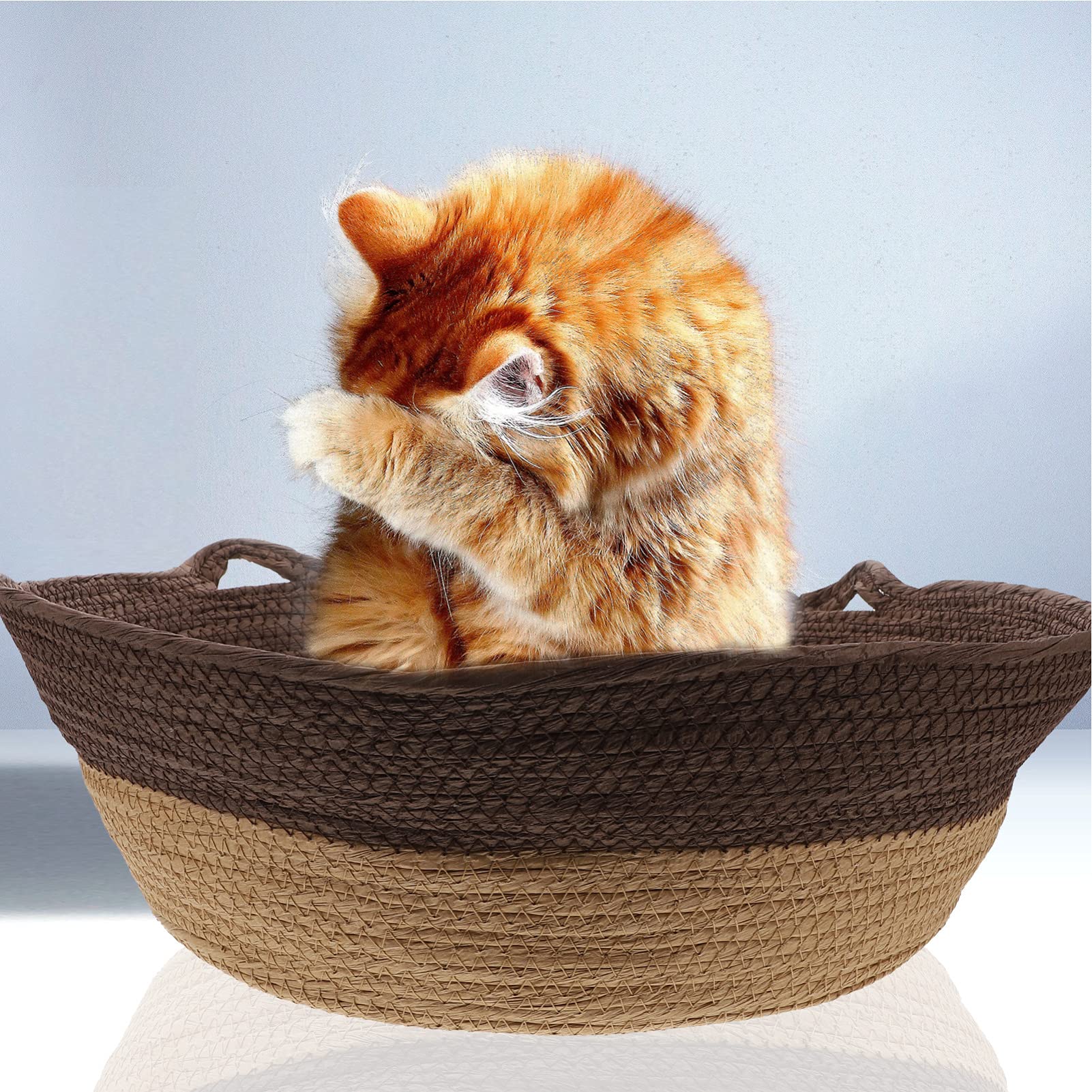 Balacoo 1PC Rattan Woven Pet Bed - Breathable Cat Nest, Rabbit Sleeping House & Dog Resting Chair - Natural Wicker Cat Bed & Knitted Dog Cage with Cattail Grass Sofa Design for Indoor/Outdoor Use - Perfect for Living Room, Bedroom or Patio