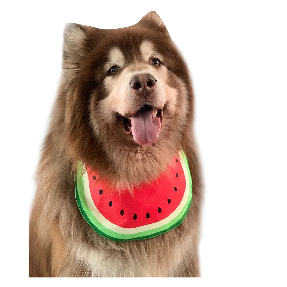 **Waterproof Cartoon Watermelon Dog Bandana - Summer Pet Bib for Medium & Large Dogs - Cute Dog Costume Accessory for Outdoor Play & Mealtime**