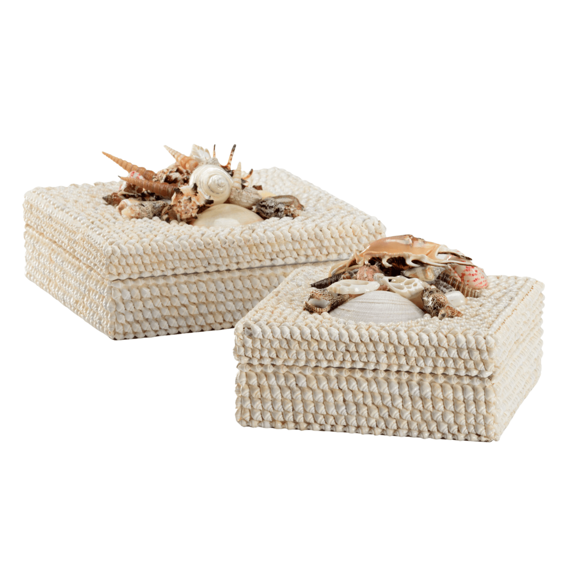 Set of 2 Coastal White Seashell Decorative Storage Boxes - Perfect for Beach House Decor, Bathroom Organizer & Jewelry Display