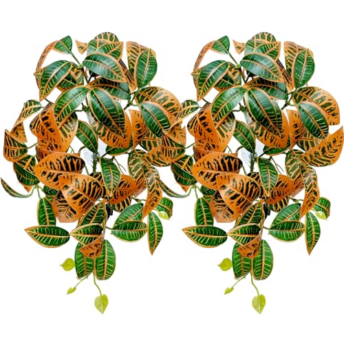 Codiaeum Variegatum
