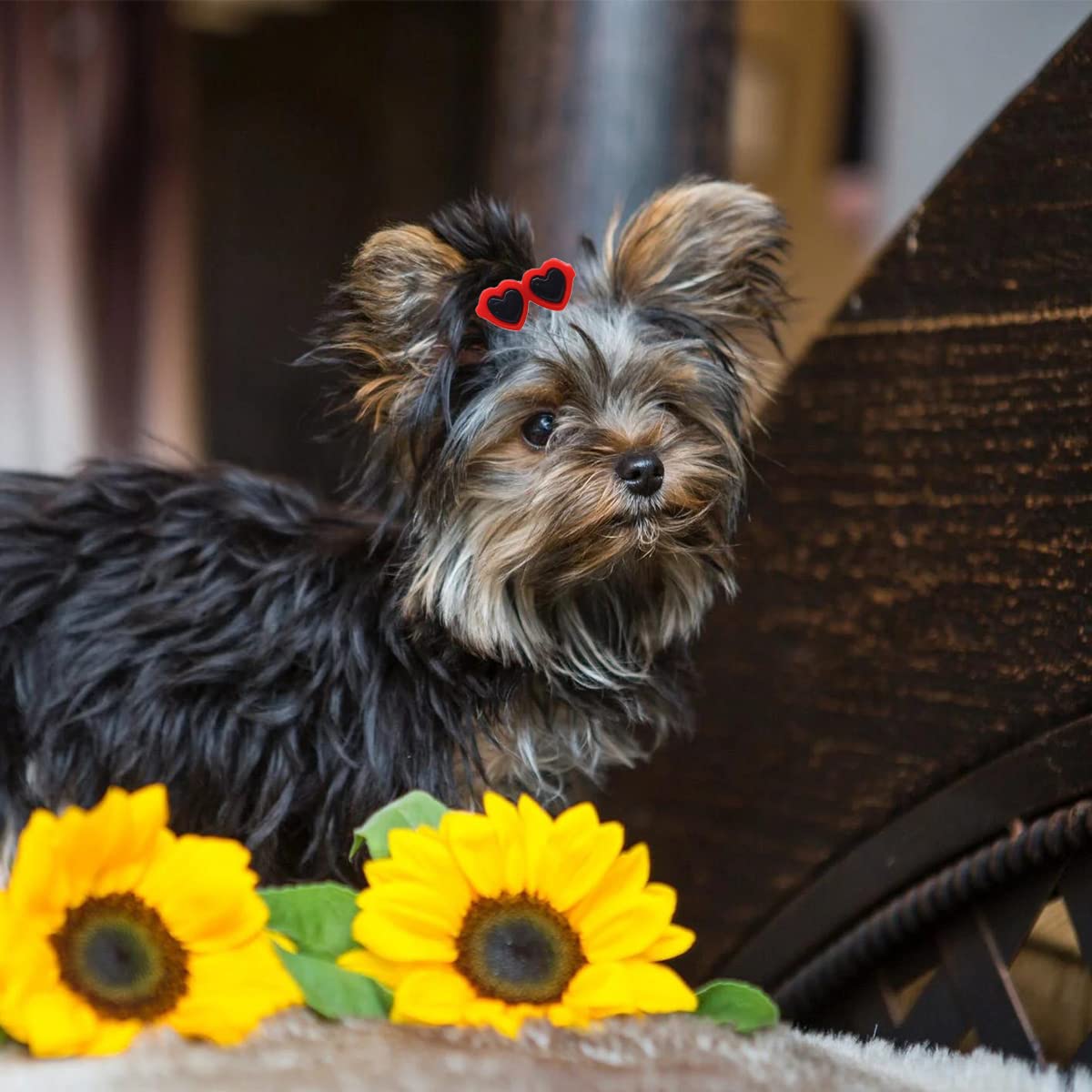 20Pcs Cute Dog Hair Bows with Clips - Pet Grooming Accessories for Dogs & Cats - Party & Photo Shoots