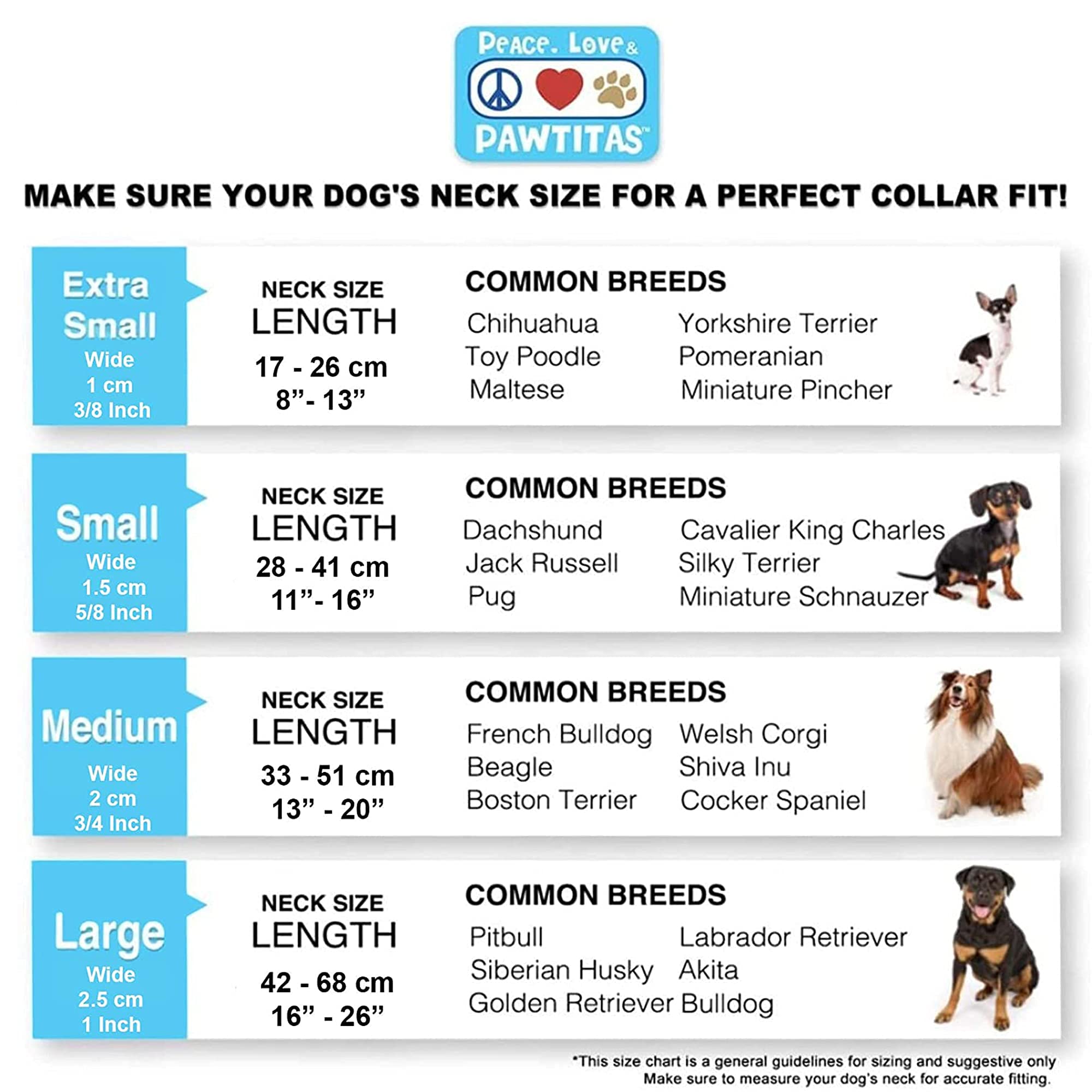 Pawtitas Extra Small Dog Harness and Collar Set - Blue | Adjustable Pet Safety Gear for Small Dogs | Perfect for Walking, Training, and Outdoor Adventures
