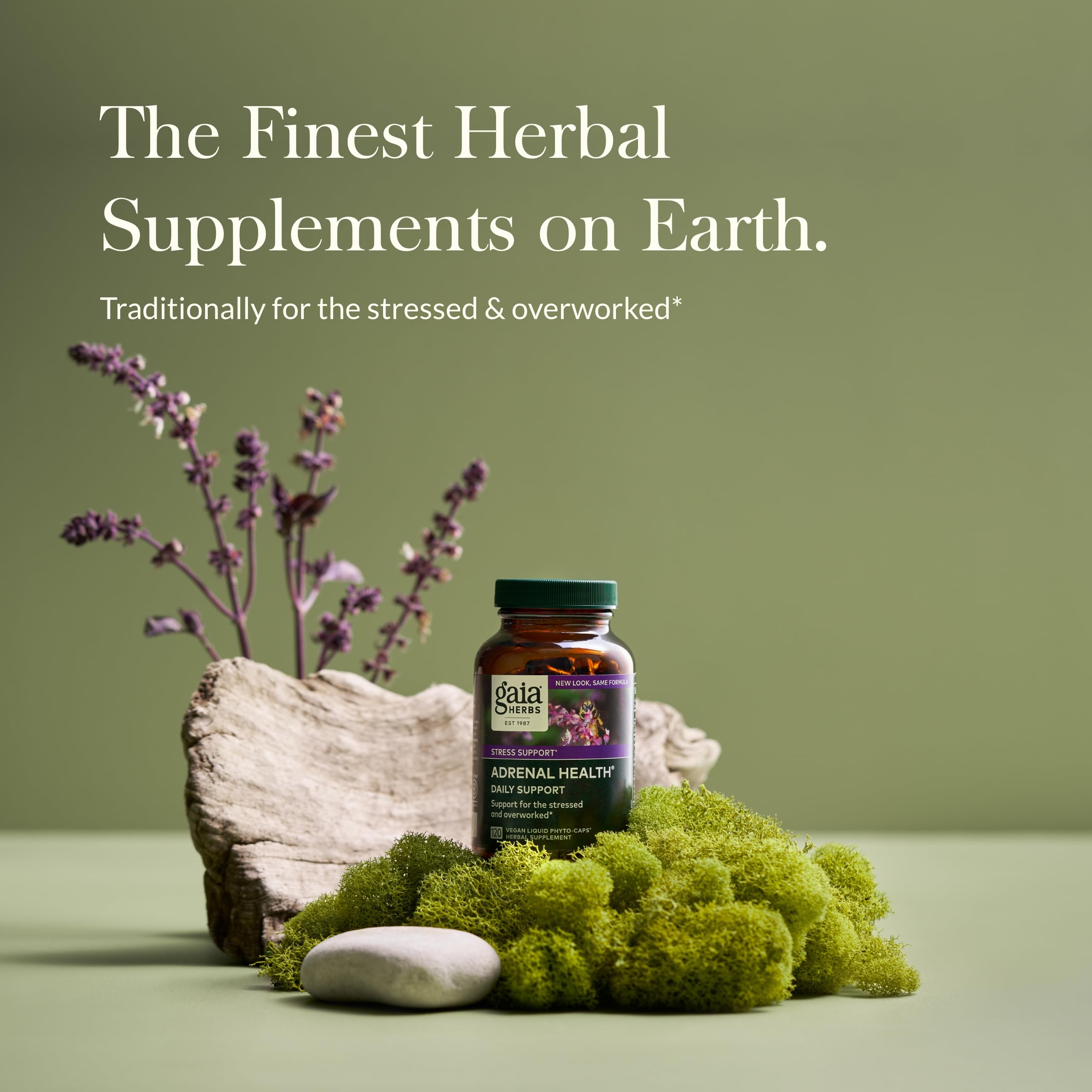 Gaia Herbs Adrenal Health Daily Support Supplement with Ashwagandha, Holy Basil & Schisandra - 120 Liquid Phyto-Capsules for Energy & Stress Relief - Supports Healthy Cortisol Levels & Vitality - Perfect for Busy Professionals & Stressful Lifestyles