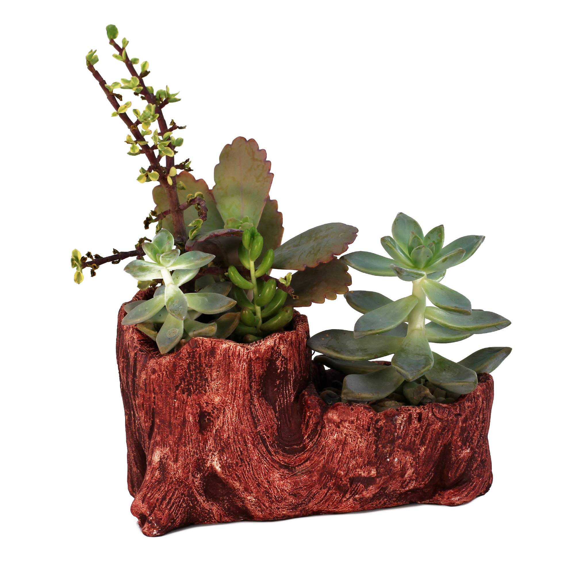 Ceramic Wood Planter Pot for Indoor Plants - Unique Log Design Succulent & Flower Pot (Redwood Boot Style) | Perfect for Home Decor, Office Desk & Small Plant Displays
