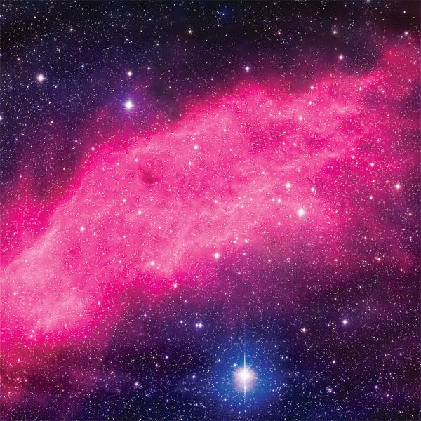 Pink - STCKTR01