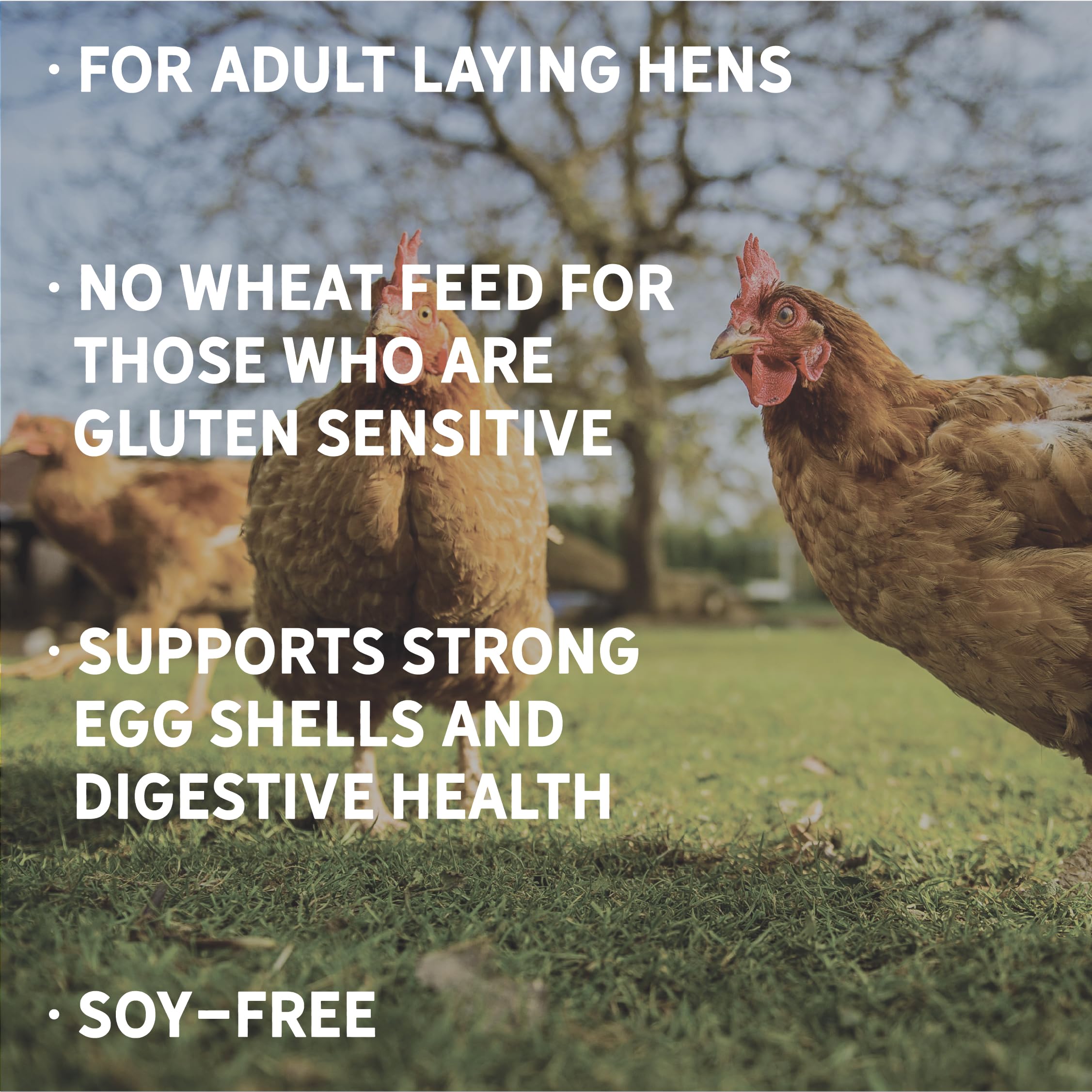 Organic Non-GMO Chicken Feed for Laying Hens - 40lbs Wheat-Free, Soy-Free & Gluten-Free Layer Feed with 17% Protein | Healthy Egg Production | Perfect for Backyard Chickens & Poultry Farms