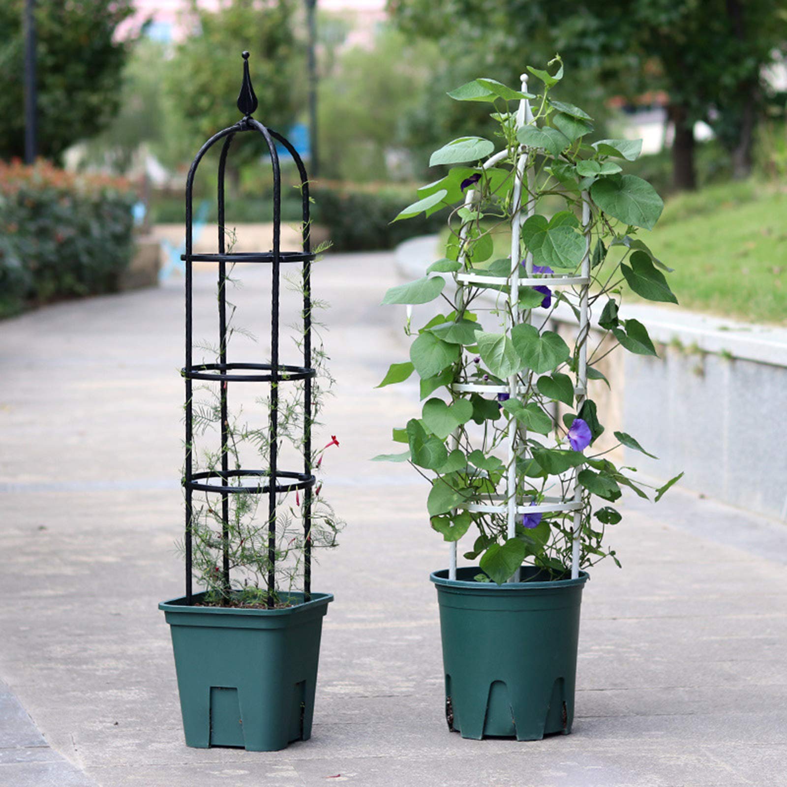 24 Inch Stainless Steel Garden Obelisk Trellis - Plant Support for Pots, Climbing Roses & Vines | Durable Outdoor Plant Cage & Protector Ring for Gardens, Patios & Balconies