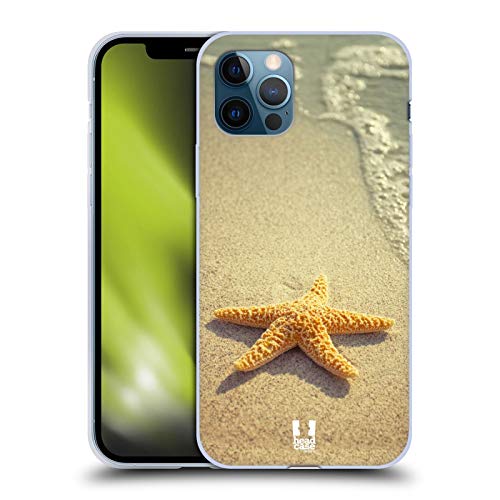 Starfish By The Shore
