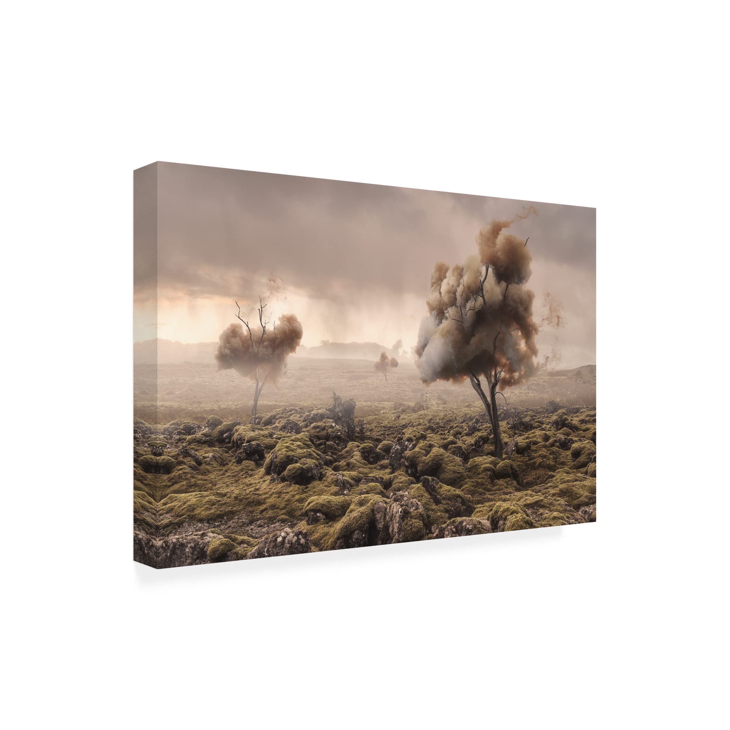 Trademark Fine Art 'Desolation' Canvas Wall Art by Matthias Bergolth - Modern Abstract Painting for Living Room, Bedroom & Office Decor