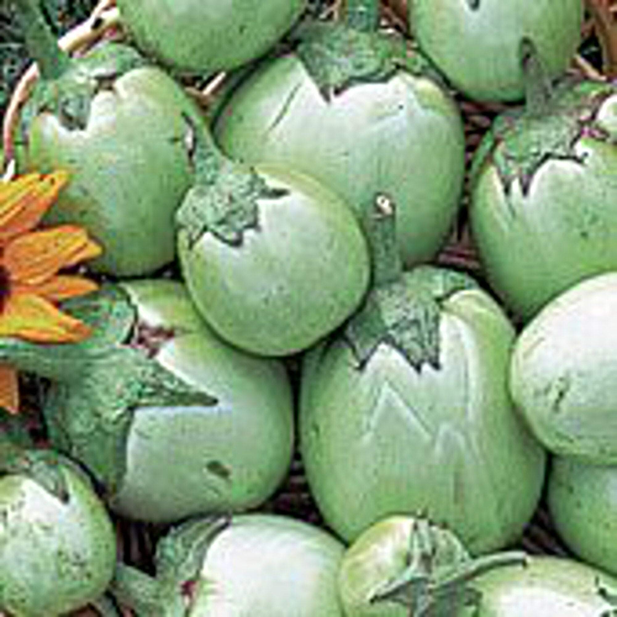 Organic Apple Green Eggplant Seeds (25+ Seeds) - Non-GMO, Heirloom Variety for Home Vegetable Gardening - Perfect for Raised Beds, Containers & Backyard Gardens
