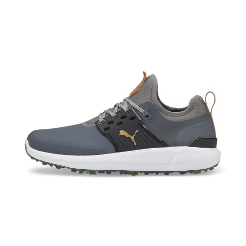 Quiet Shade/Puma Team Gold/Puma Black