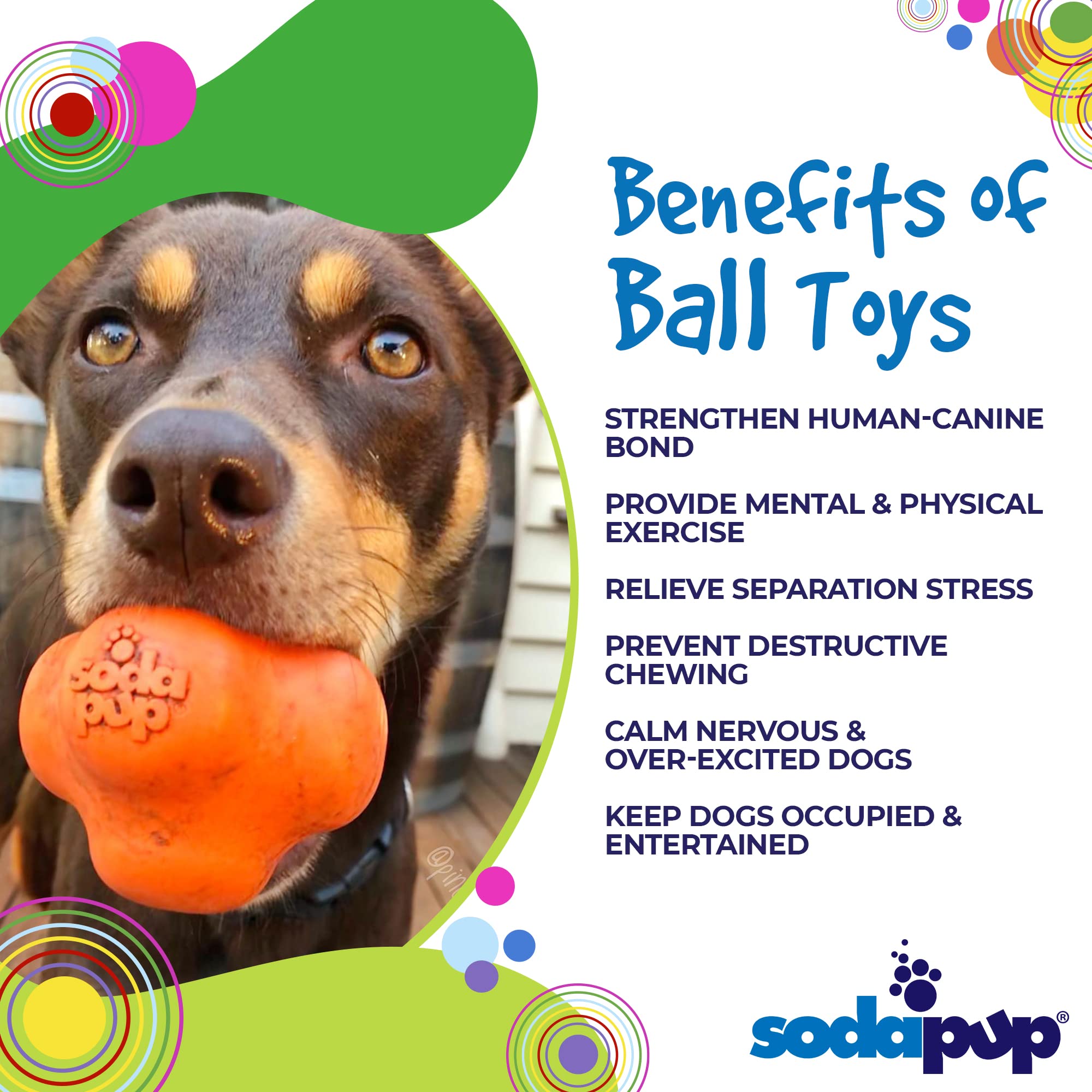 SodaPup Crazy Bounce - Durable Natural Rubber Dog Ball Toy & Chew Toy for Large & Small Dogs | Non-Toxic & Pet-Safe | USA Made | Perfect for Fetch, Training, Teeth Cleaning & Anxiety Relief | Great for Backyard Play & Interactive Bonding Time