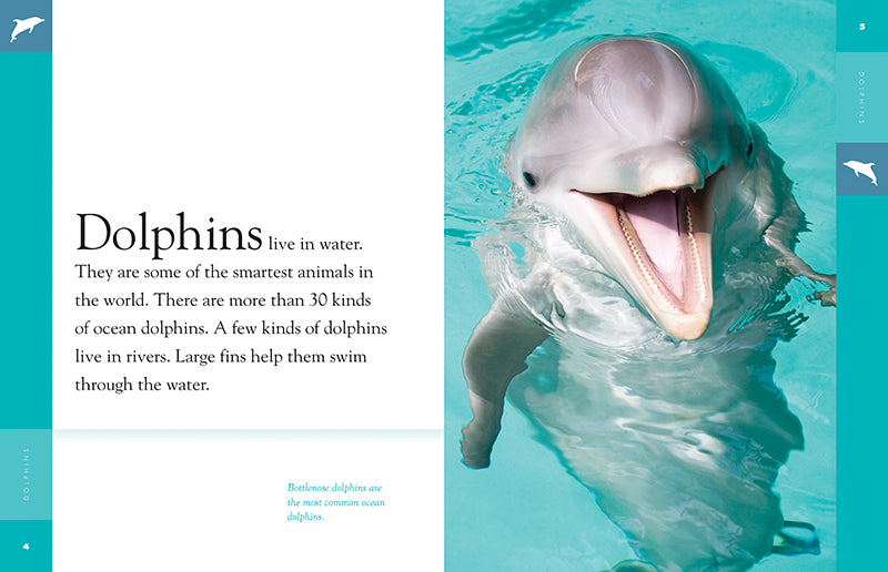 Dolphins Book 9781640262027 - Marine Life Educational Guide for Kids & Adults - Perfect for School Projects & Ocean Enthusiasts
