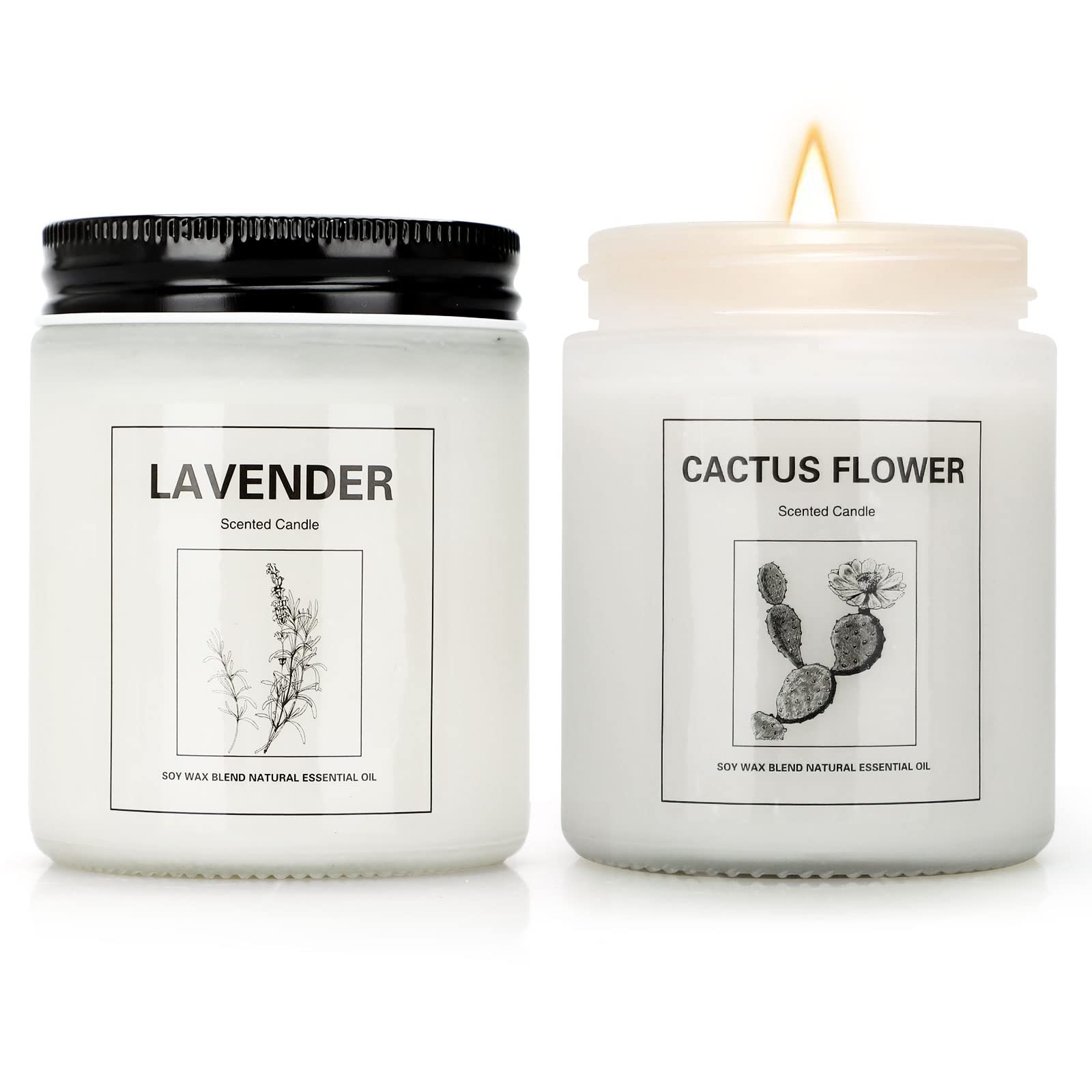 Lavender & Cactus Flower Scented Candles - 2 Pack Aromatherapy Soy Wax Candles for Home Decor, 7.1 oz (100 Hours Burn Time) - Relaxing Gifts for Women, Perfect for Bedroom, Bathroom & Meditation Spaces