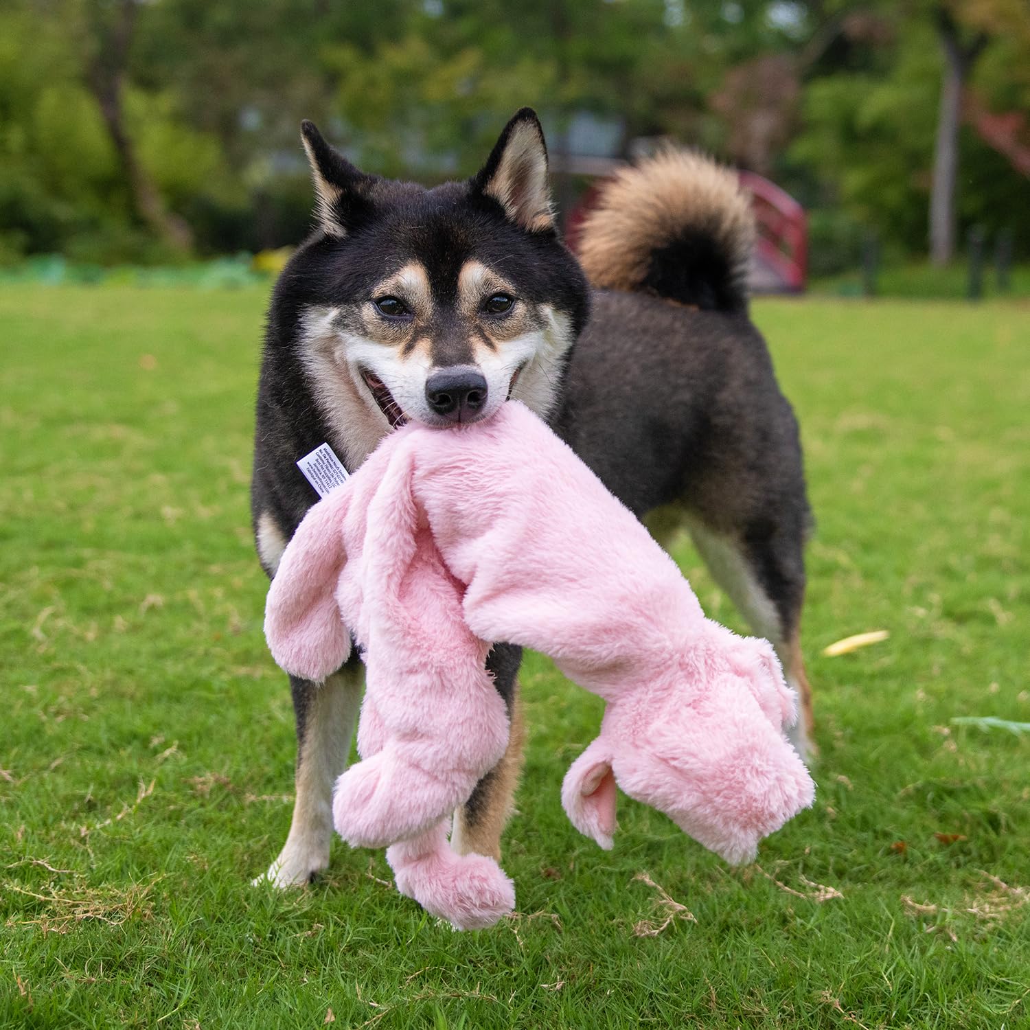 2-in-1 Squeaky Dog Toy for All Sizes - No Stuffing & Bottle Holder - Indoor Play Fun
