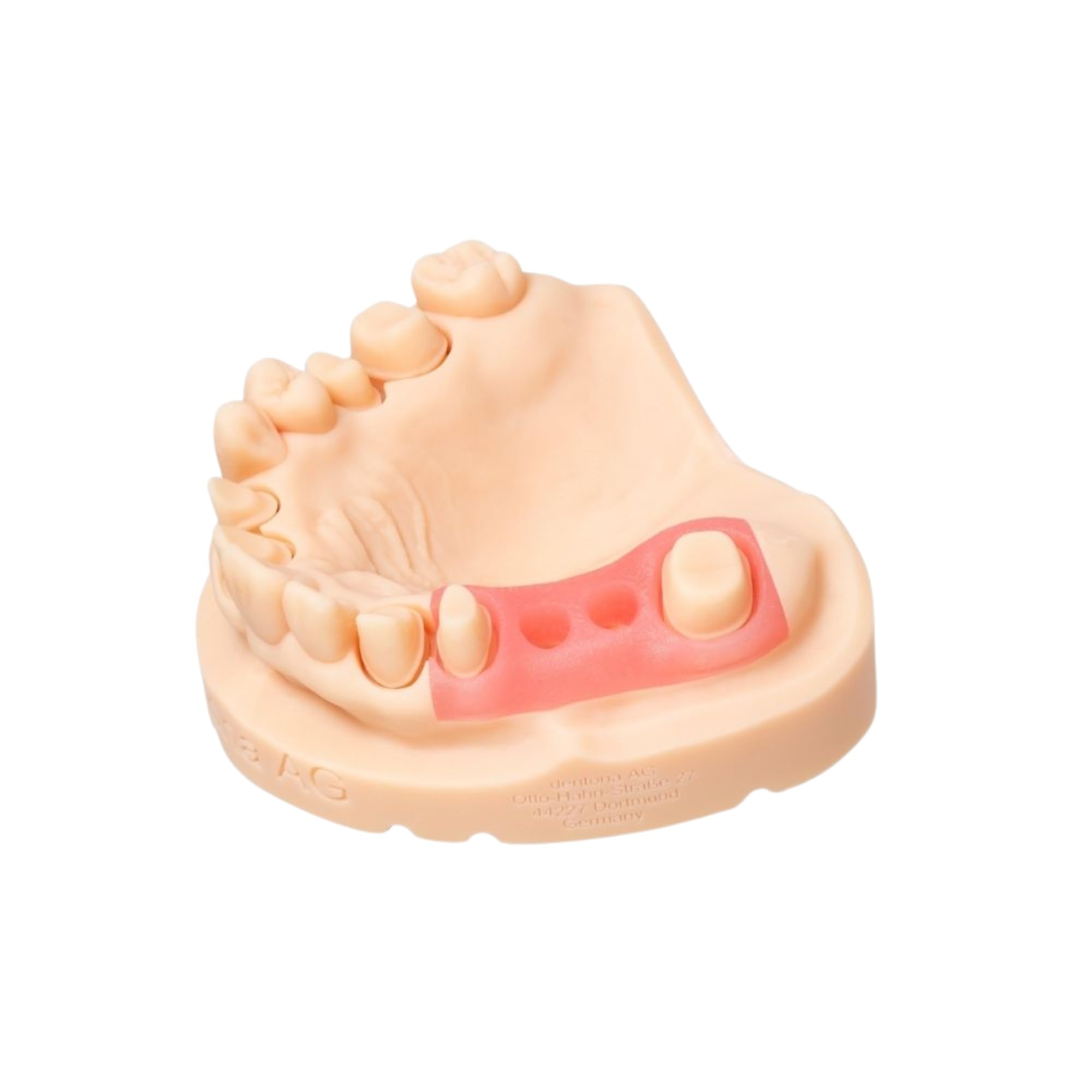 High-Quality 3D Printer Resin - Optiprint Gingiva 500g for Dental Models & Prosthetics | Perfect for Dentists, Dental Labs & 3D Printing Enthusiasts