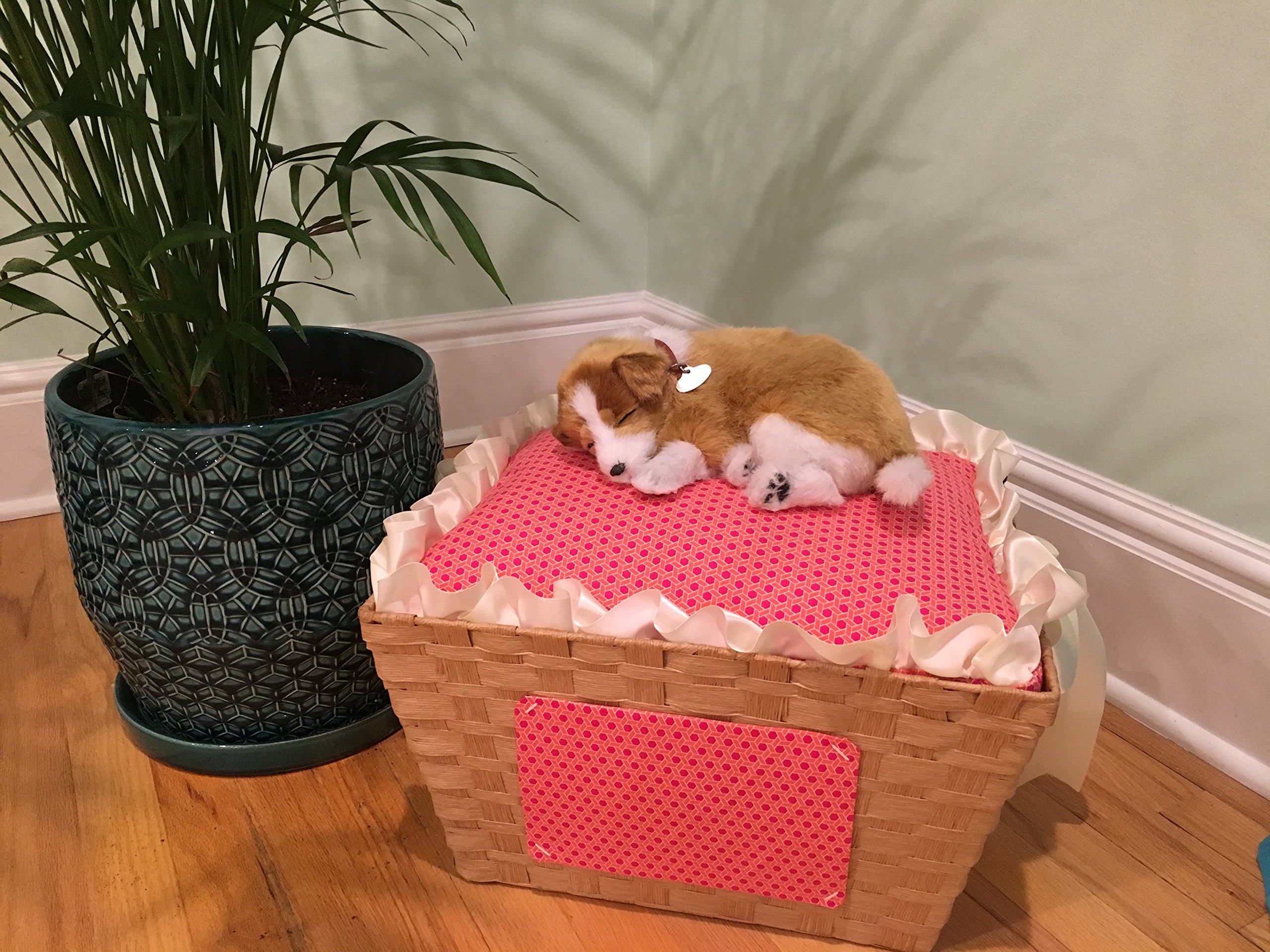 Premium Soft Pet Bed for Cats & Small Dogs - Cozy & Washable - Perfect for Indoor Napping & Lounging