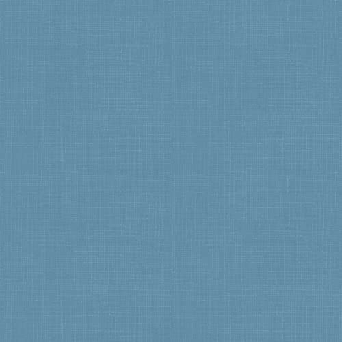 French Blue Texture