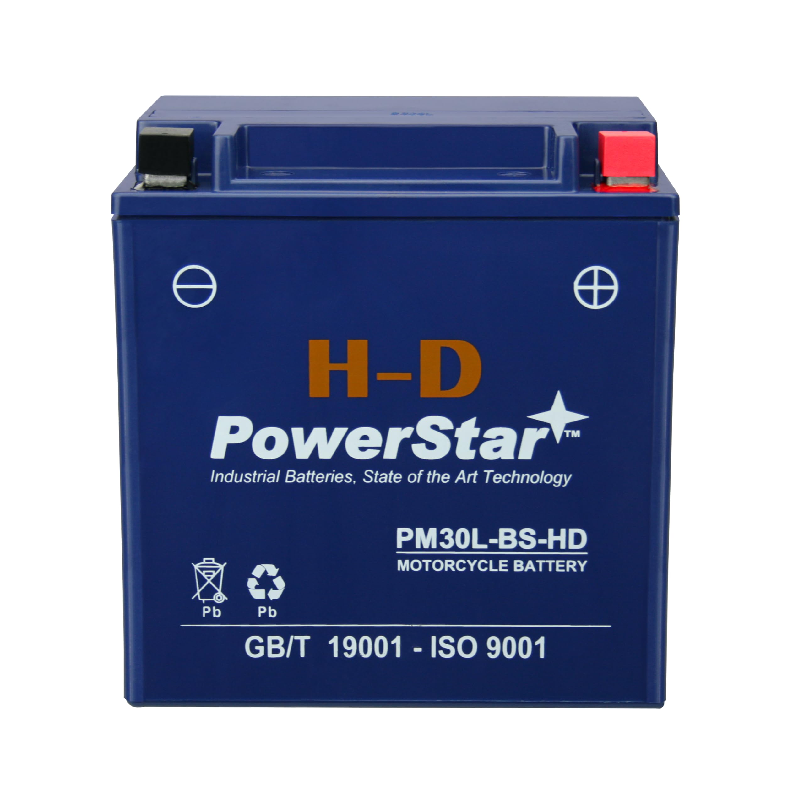 PowerStar YTX30L-BS Replacement Battery & Charger for Harley-Davidson FL FLH Series Touring 1450CC 1999+ - Compatible with Motorcycles, ATVs, and Power Sports - Perfect for Long Rides and Off-Road Adventures