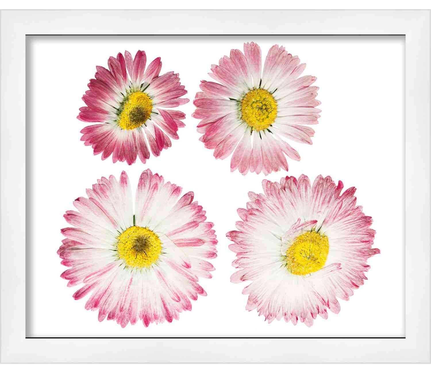 14x12 White Shadow Box Display Frame - 1 Inch Deep, 1.5 Inch Wide Moulding with Shatter-Resistant Acrylic & Acid-Free Foamboard - Perfect for Memorabilia, Wedding Keepsakes, Military Medals & Home Decor