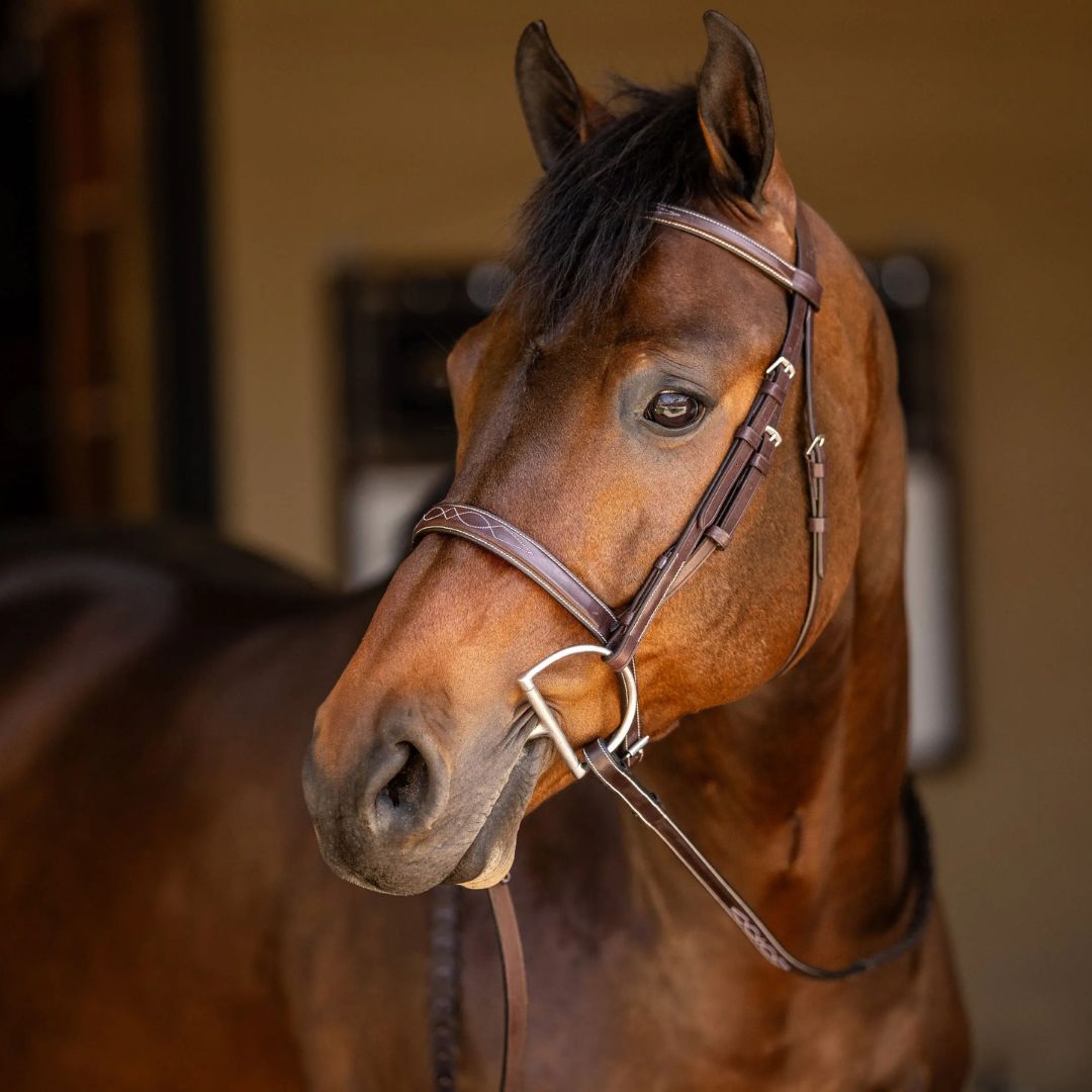 Premium Huntley Sedgwick Fancy Stitched Square Raised Hunter Bridle with Reins - English Equestrian Leather Horse Bridle for Show Jumping & Dressage