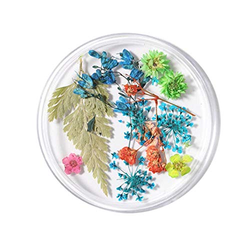 Gokeop 12 Colors Mixed Natural Dried Flower Nail Stickers - DIY 3D Nail Art Decoration for Manicure & Nail Design | Perfect for Home Salon, Party Nails, Wedding Beauty & Gift Giving (Style C)