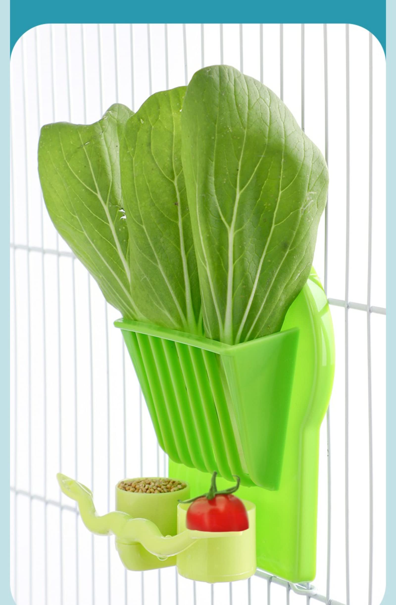 Premium Hanging Bird Feeder for Parrots - Durable Cage Fruit & Vegetable Holder - Pet Food Dispenser for Birds - Perfect for Cages, Aviaries & Bird Play Areas