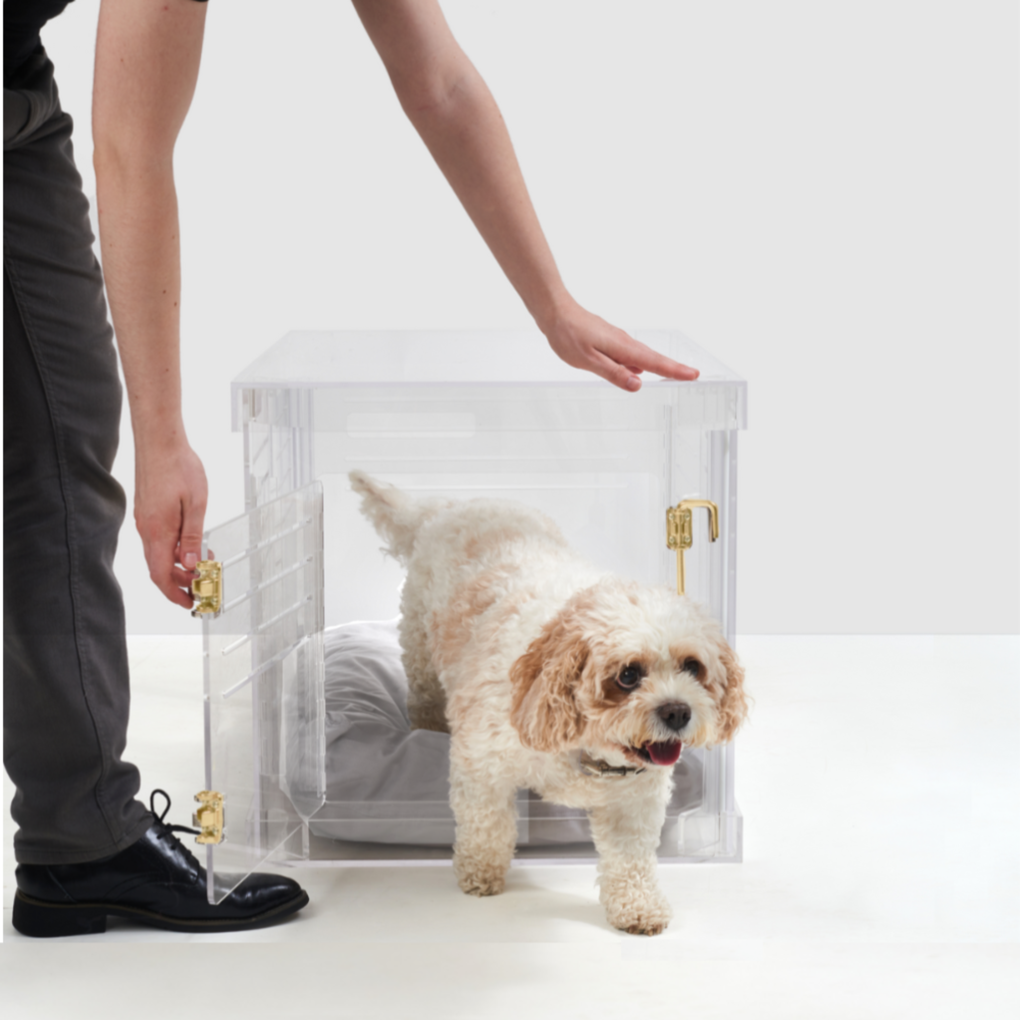 Clear Plastic Dog Crate with Removable Gate - Portable Pet Carrier for Small to Medium Dogs - Perfect for Travel, Training & Home Use