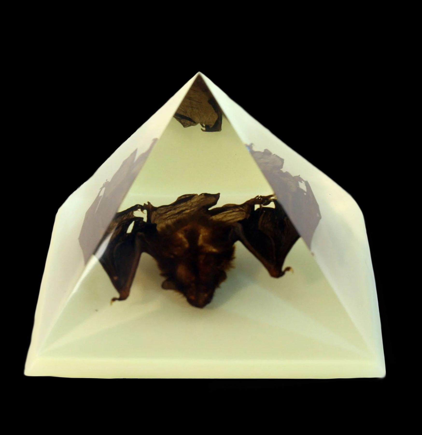 Glow in the Dark Bat Pyramid - Halloween Decorations, Spooky Party Supplies, Unique Night Light for Kids Room & Outdoor Garden Decor - Perfect for Halloween Parties, Bedroom Nightlight, and Themed Events