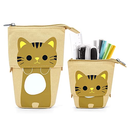 Brown Cat