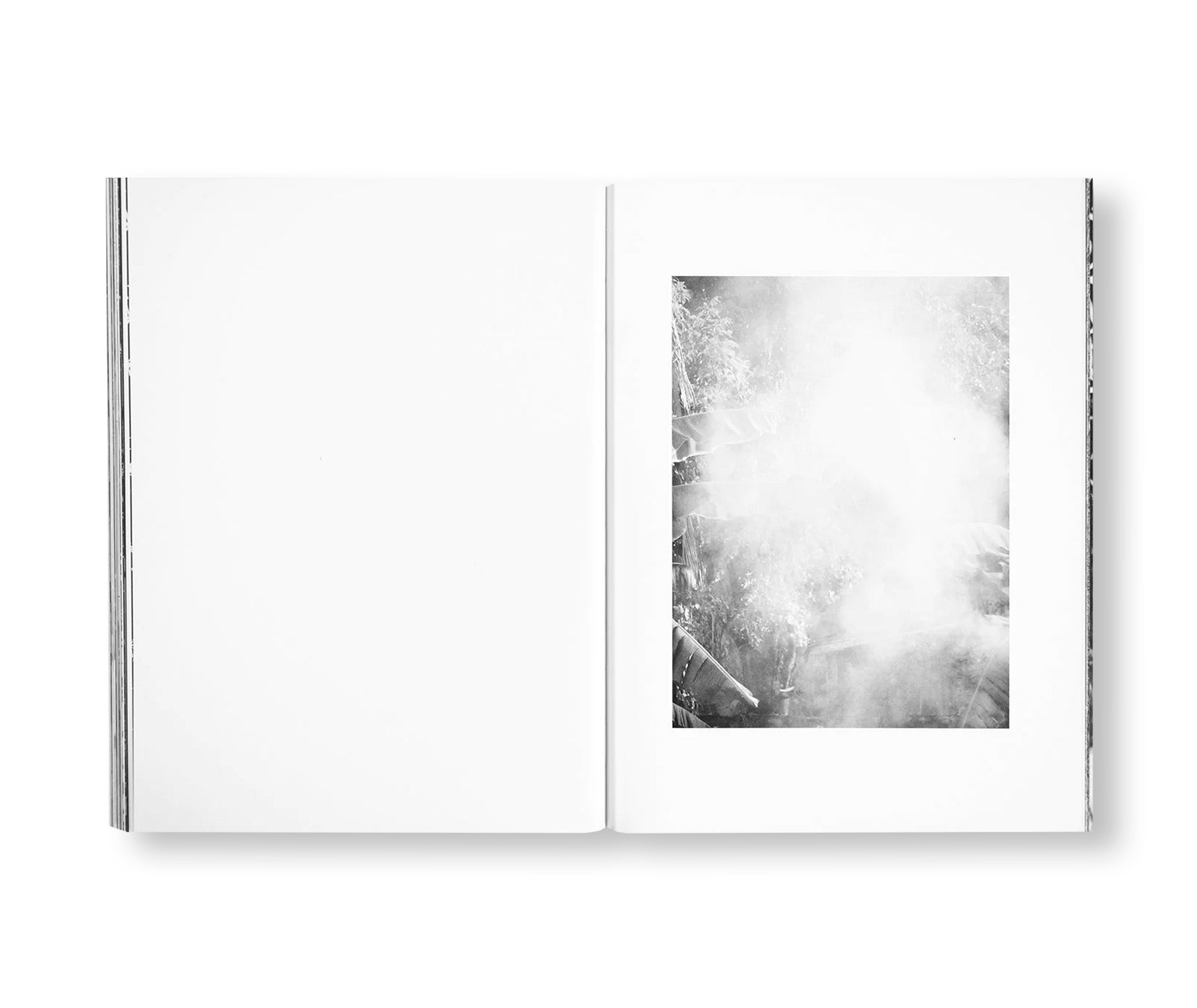LICK OF TONGUE, RUB OF FINGER, ON SOFT WOUND - Contemporary Art Photography Book by Keisha Scarville | Emotional Healing & Artistic Expression | Perfect for Art Collectors and Photography Enthusiasts