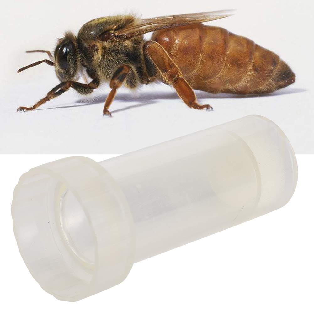 Naroote Transparent Queen Bee Marking Bottle - Lightweight Plastic Beekeeping Equipment for Queen Bee Rearing and Hive Management | Beekeeping Supplies for Professional & Hobbyist Beekeepers